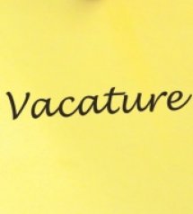 Vacature Chauffeur Terminal Trekker